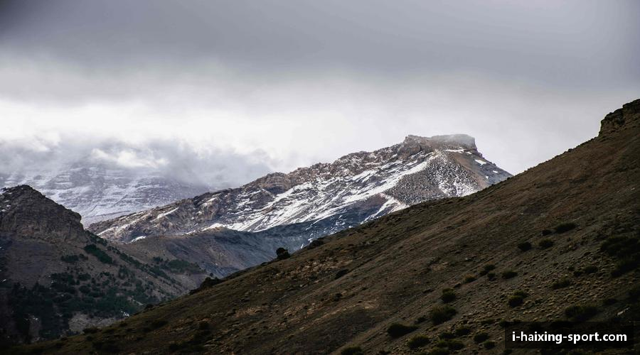 海星体育直播在线观看-高清免费赛事直播平台-海星体育直播